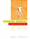 Essential Anatomy for Healing & Martial Arts
