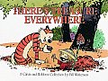 Calvin & Hobbes 15 Theres Treasure Everywhere