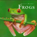 Frogs Natures Window