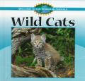 Wild Cats Welcome To The World Of Animal