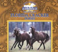 Florida Cracker Horses