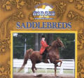 Saddlebreds (Great American Horses)