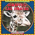 Giraffes/Los Jirafas