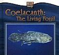 Coelacanth: The Living Fossil