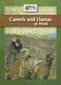 Camels and Llamas at Work (Animals at Work)