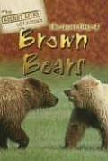 The Secret Lives of Brown Bears