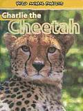 Charlie the Cheetah