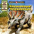 Triceratops / Triceratops
