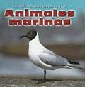 Animales Marinos (Sea Animals)