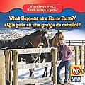 What Happens at a Horse Farm Que Pasa en una Granja de Caballos