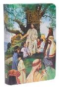 Holy Bible Seaside For Children Kjv