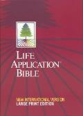 Bible Niv Large Print Life Application