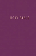 Bible NLT Holy Bible New Living Translation