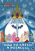 Adventure Time How to Catch a Princess