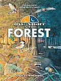 Day & Night In The Forest