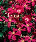 Clematis Inspiration Selection & Practical Guidance