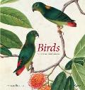 Birds The Art of Ornithology