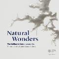 Natural Wonders: The Sublime in Contemporary Art: Thirteen Artists Explore Nature's Limits