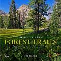 Americas Great Forest Trails 100 Woodland Hikes of a Lifetime