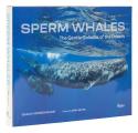 Sperm Whales The Gentle Goliaths of the Ocean