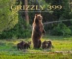 Grizzly 399