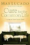 Cure for the Common Life Living in Your Sweet Spot