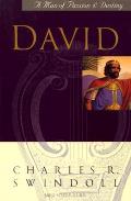 David A Man After Gods Own Heart