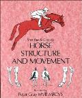 Horse Structure and Movement