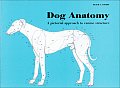 Dog Anatomy A Pictorial Approach To Canine Structure