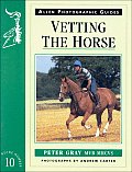 Vetting The Horse