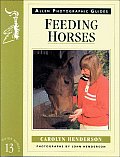 Feeding Horses Allen Photographic Guide