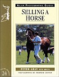 Selling A Horse Allen Photographic Guide