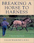 Breaking A Horse To Harness