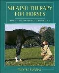 Shiatsu Therapy For Horses Know Your Hor