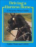Driving a Harness Horse A Step By Step Guide
