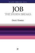 Wcs Job: The Storm Breaks