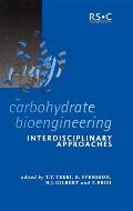 Carbohydrate Bioengineering: Interdisciplinary Approaches