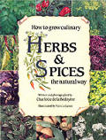 How To Grow Culinary Herbs & Spices The