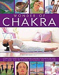 Wonder Of Chakra