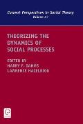 Theorizing the Dynamics of Social Processes