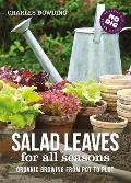 Salad Leaves For All Seasons Organic Growing From Pot To Plot