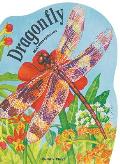 Metamorphoses: Giant Dragonfly