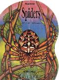 Misunderstood: Giant Spiders
