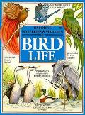 Usborne Mysteries & Marvels Of Bird Life