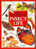 Usborne Mysteries & Marvels Of Insect Li
