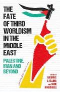 Fate of Third Worldism in the Middle East: Iran, Palestine and Beyond