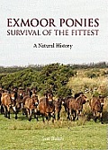 Exmoor Ponies Survival of the Fittest A Natural History
