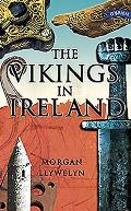 Vikings In Ireland