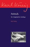 Animals: An Imaginative Zoology