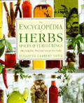 Encyclopedia Of Herbs Spices & Flavourings